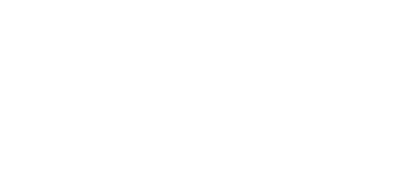 Instel